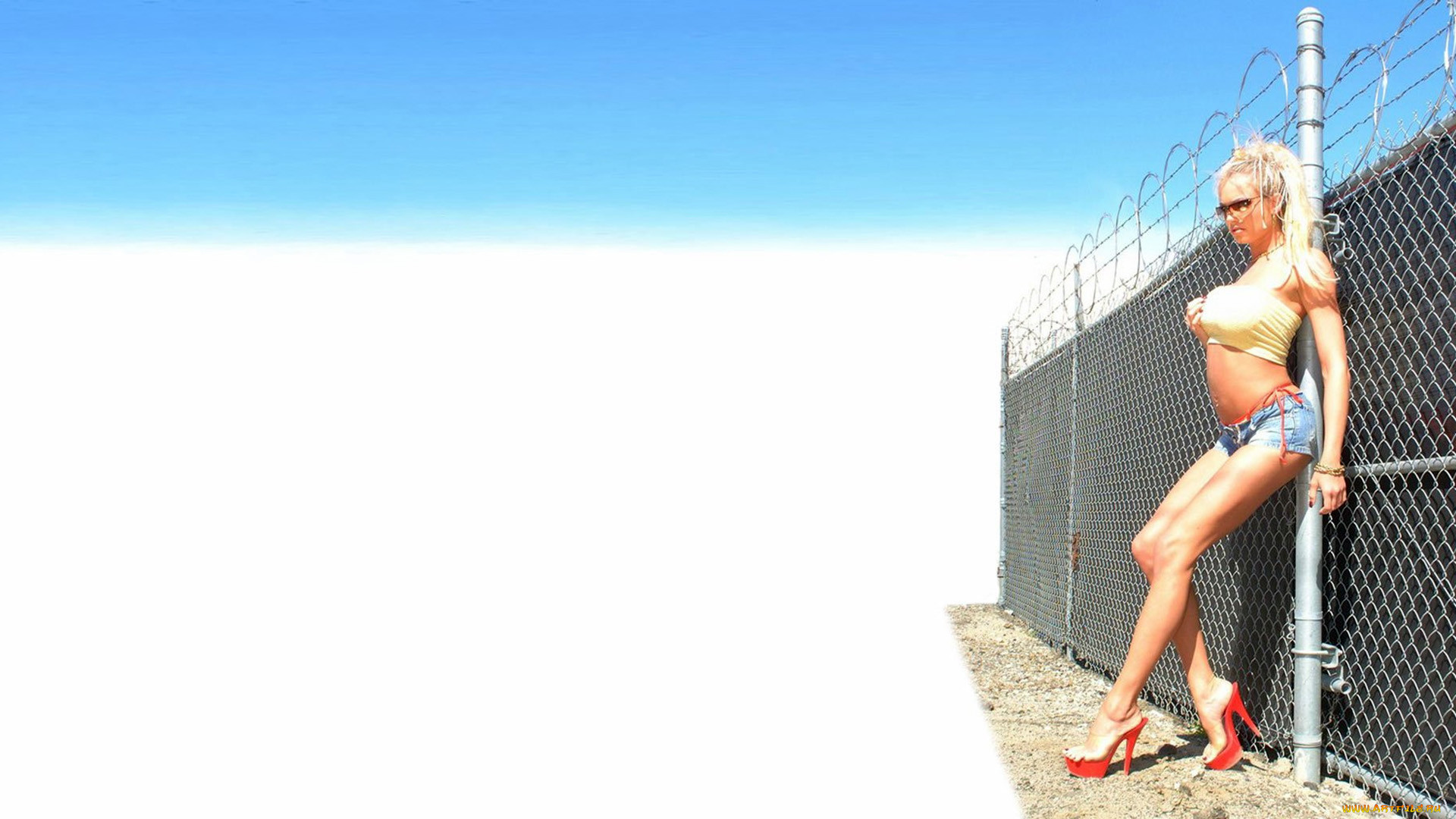 , briana banks, , 